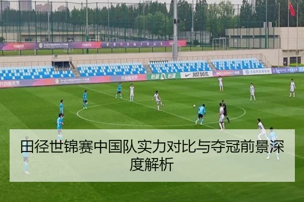 田径世锦赛中国队实力对比与夺冠前景深度解析